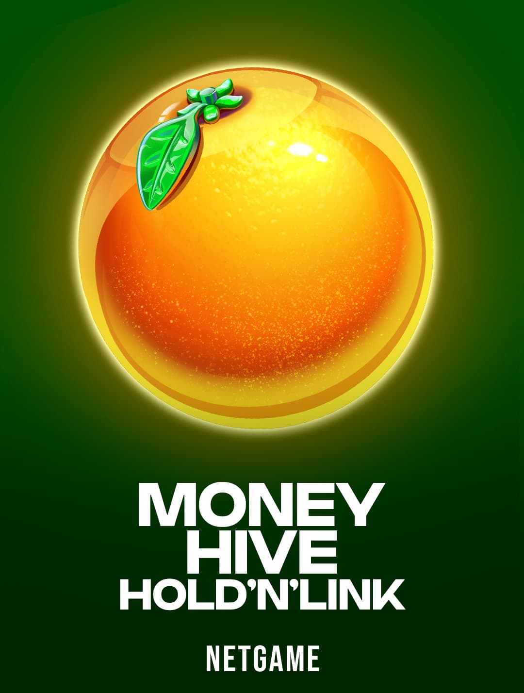 Money Hive Hold 'N' Link
