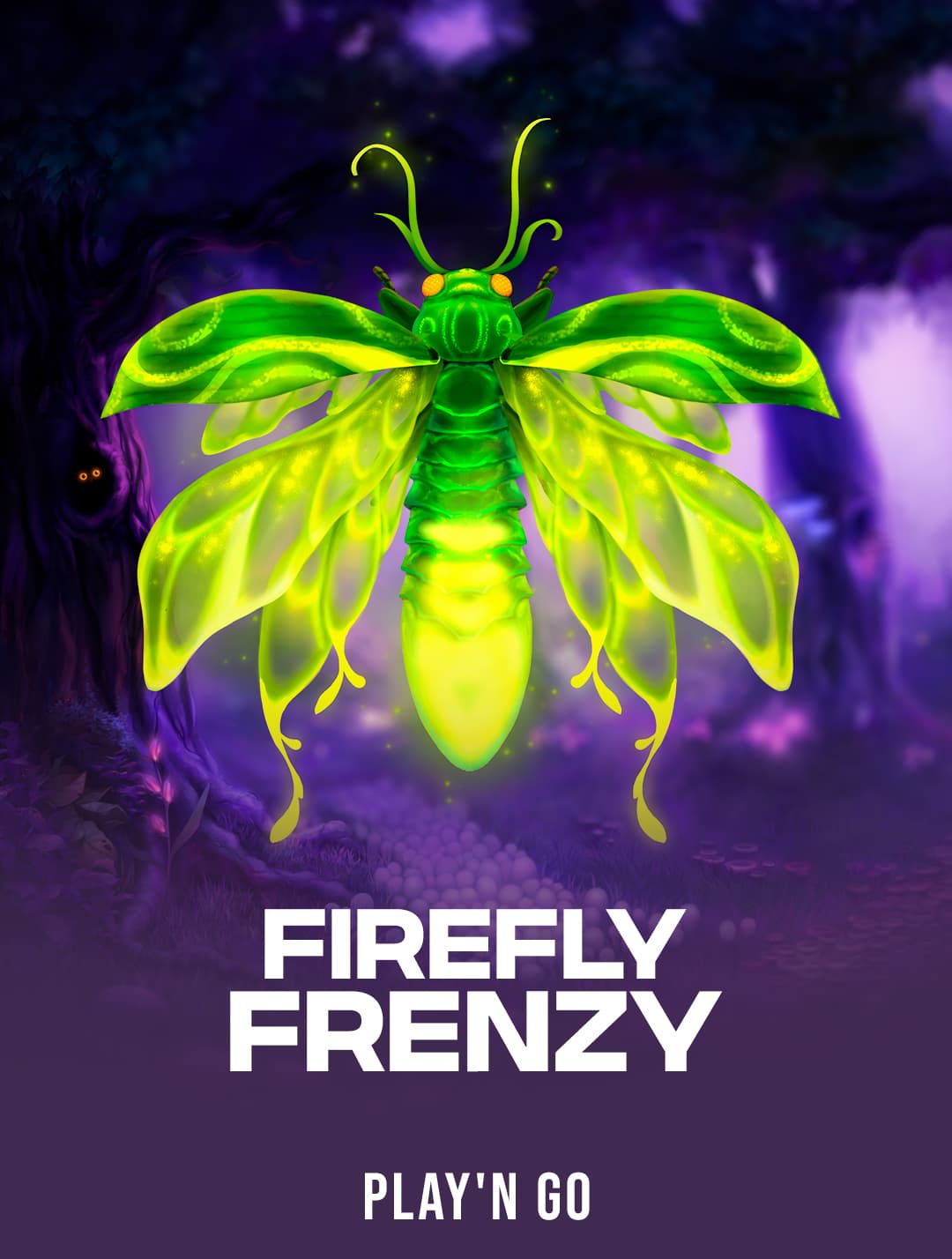 Firefly Frenzy